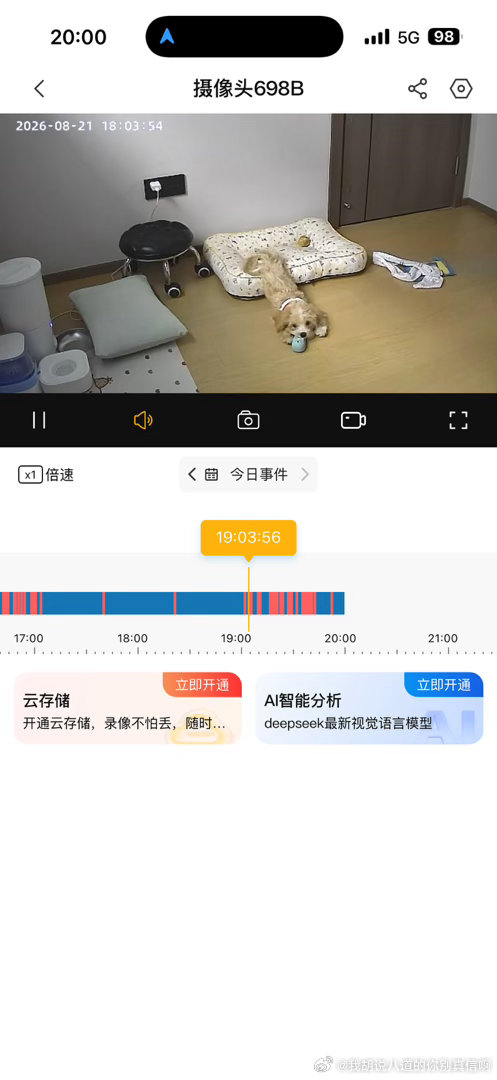 人 什么时候回家 ​