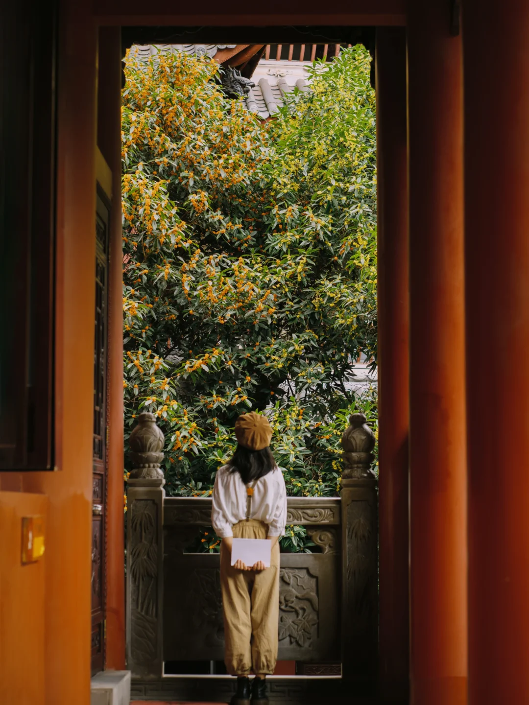成都小众千年古寺｜金桂银桂满院飘香