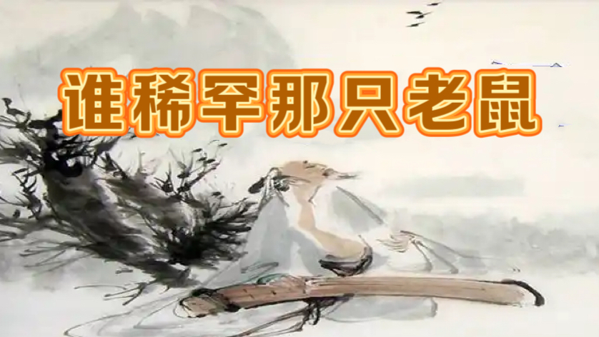《谁稀罕那只老鼠》

子非鱼安知鱼之乐，这典故你应该知道，义务制教育时就学过。里
