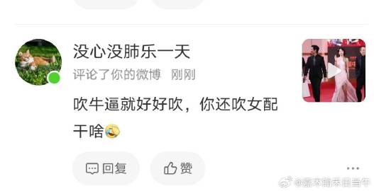 赵丽颖百花奖最佳女配角，金鸡奖最佳女配角提名，某人有？为什么不能吹？