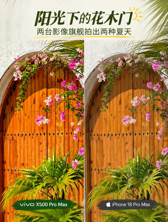 阳光下的花木门，两台影像旗舰拍出两种夏天