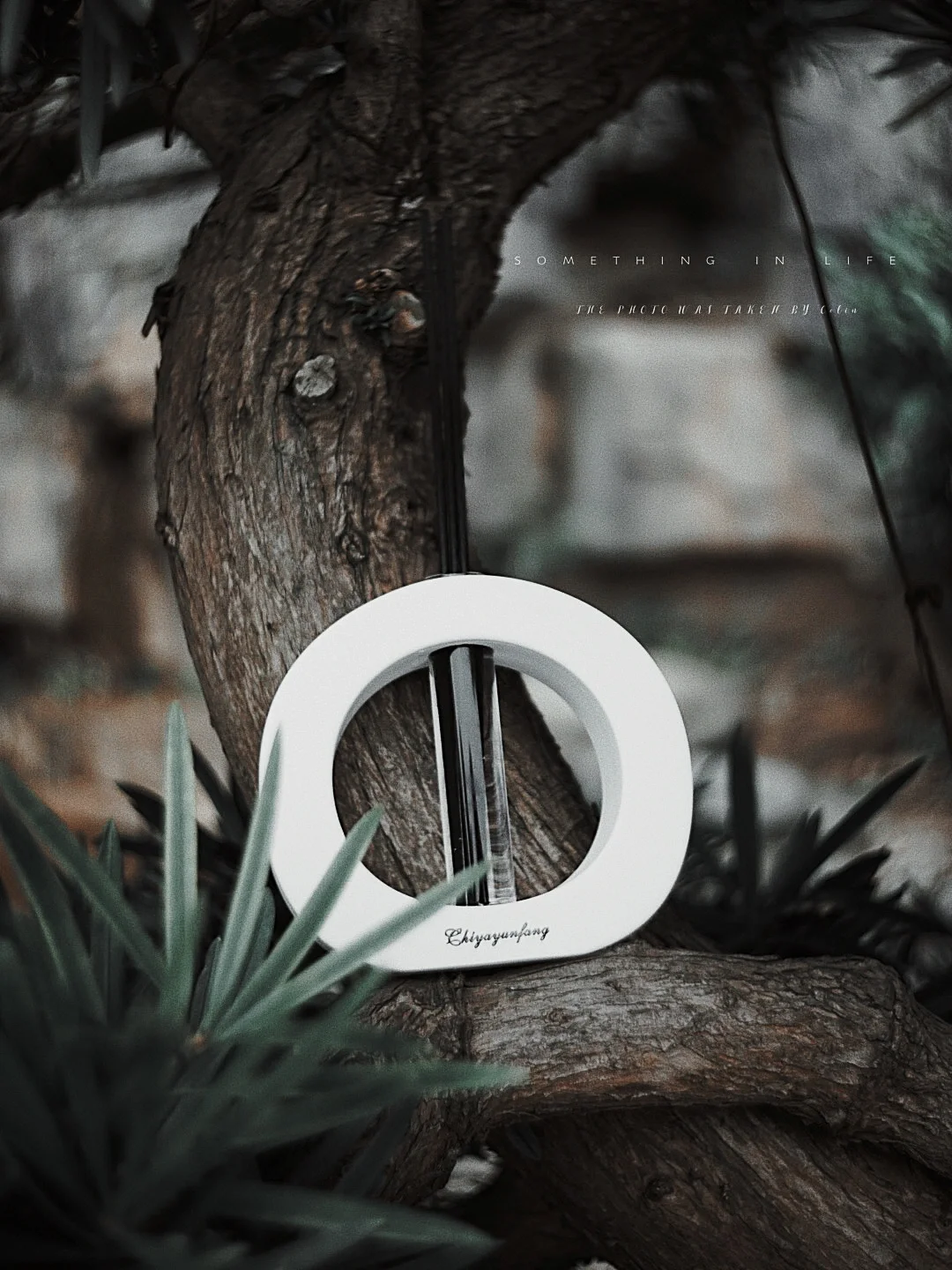 𝐋𝐢𝐟𝐞𝐬𝐭𝐲𝐥𝐞🖤迷雾中邂逅的牧羊少年