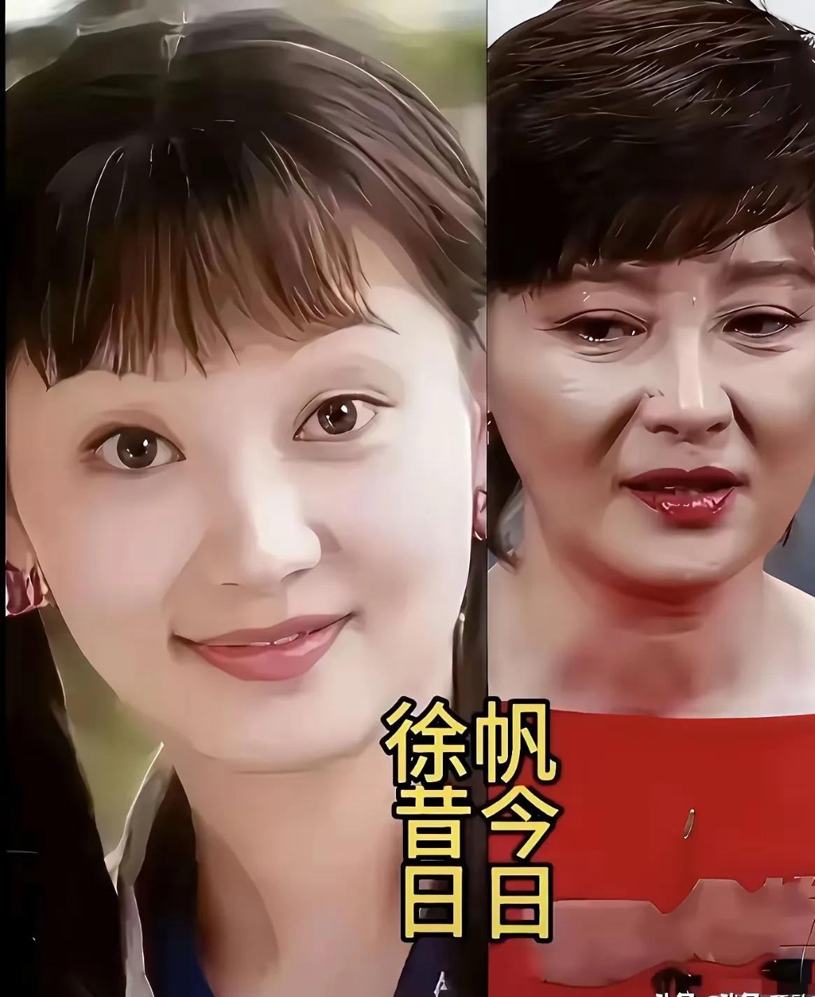翻出三十多年前的电视录像才发现，我们都被记忆里的鞠萍姐姐给“骗”了太多年。
大家印象里的她，永远顶着一头蓬松的短发，笑起来眉眼弯弯，脸上带着点肉嘟嘟的亲和力，像极了隔壁家最随和的小姨。
可谁能想到，刚进台里那会儿的鞠萍，下颌线清晰得很，身形纤细，笑起来眼里全是光，放在现在妥妥就是校花级别的骨相美
