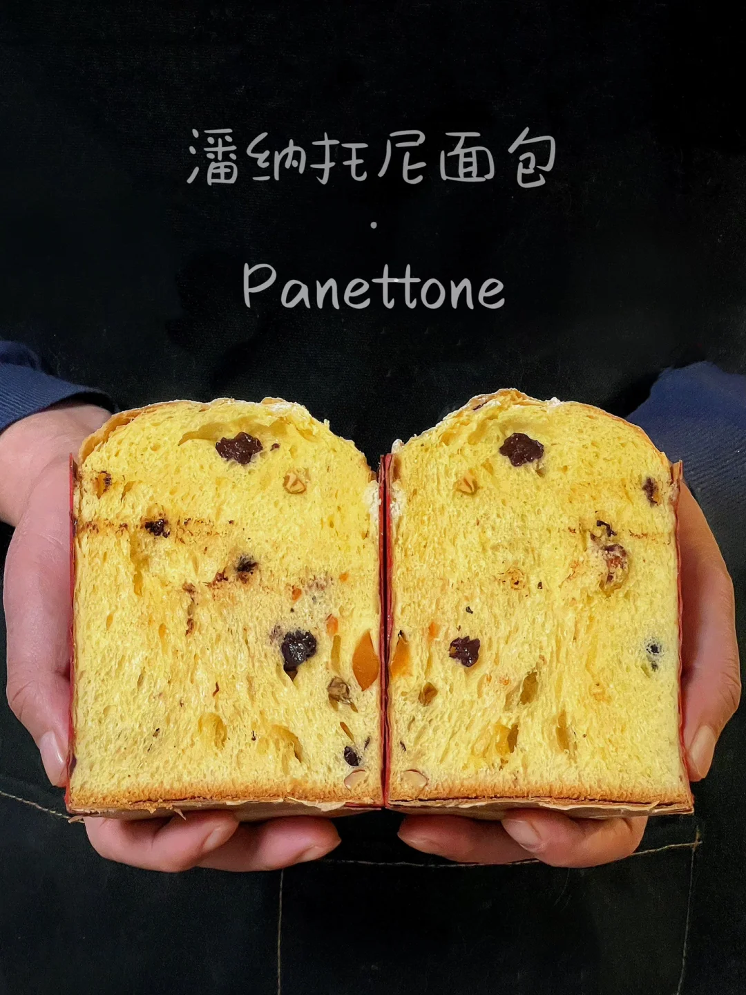 🎄潘纳托尼圣诞面包｜无需养种｜宅家轻松复刻