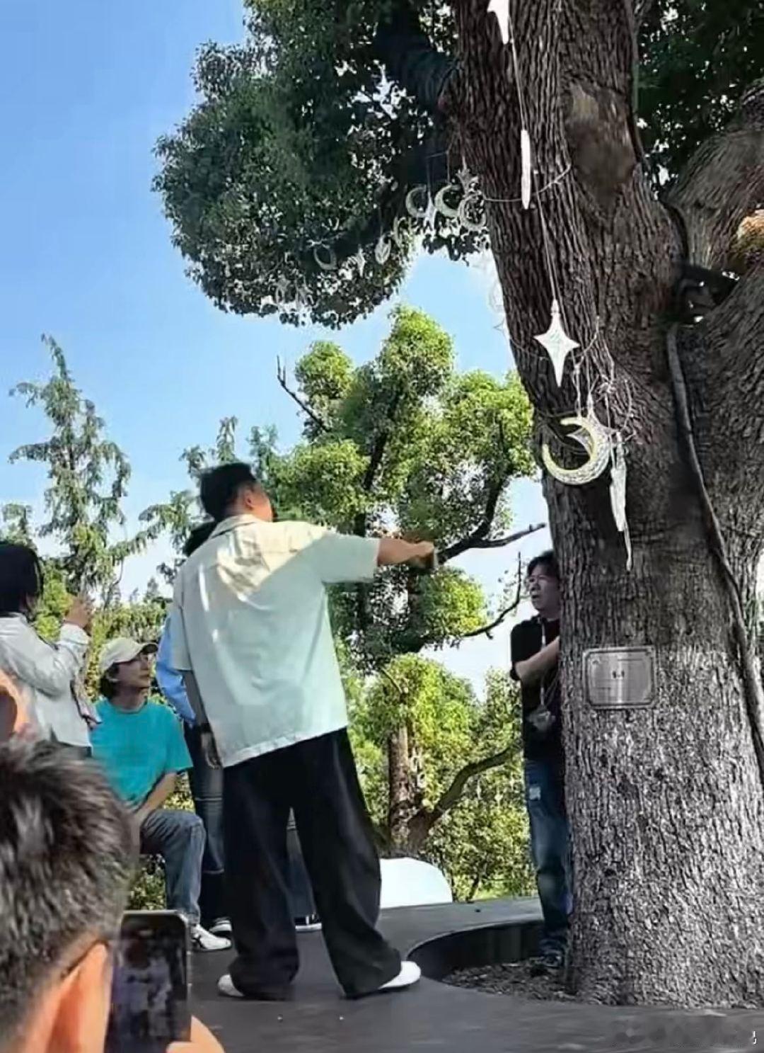 #黄磊孟京辉有默契但不多#两位戏剧界老顽童上线！黄磊孟京辉乌镇巡场边走边唱，还一起抱大树，相处随性欢乐，默契有，却不多。 ​