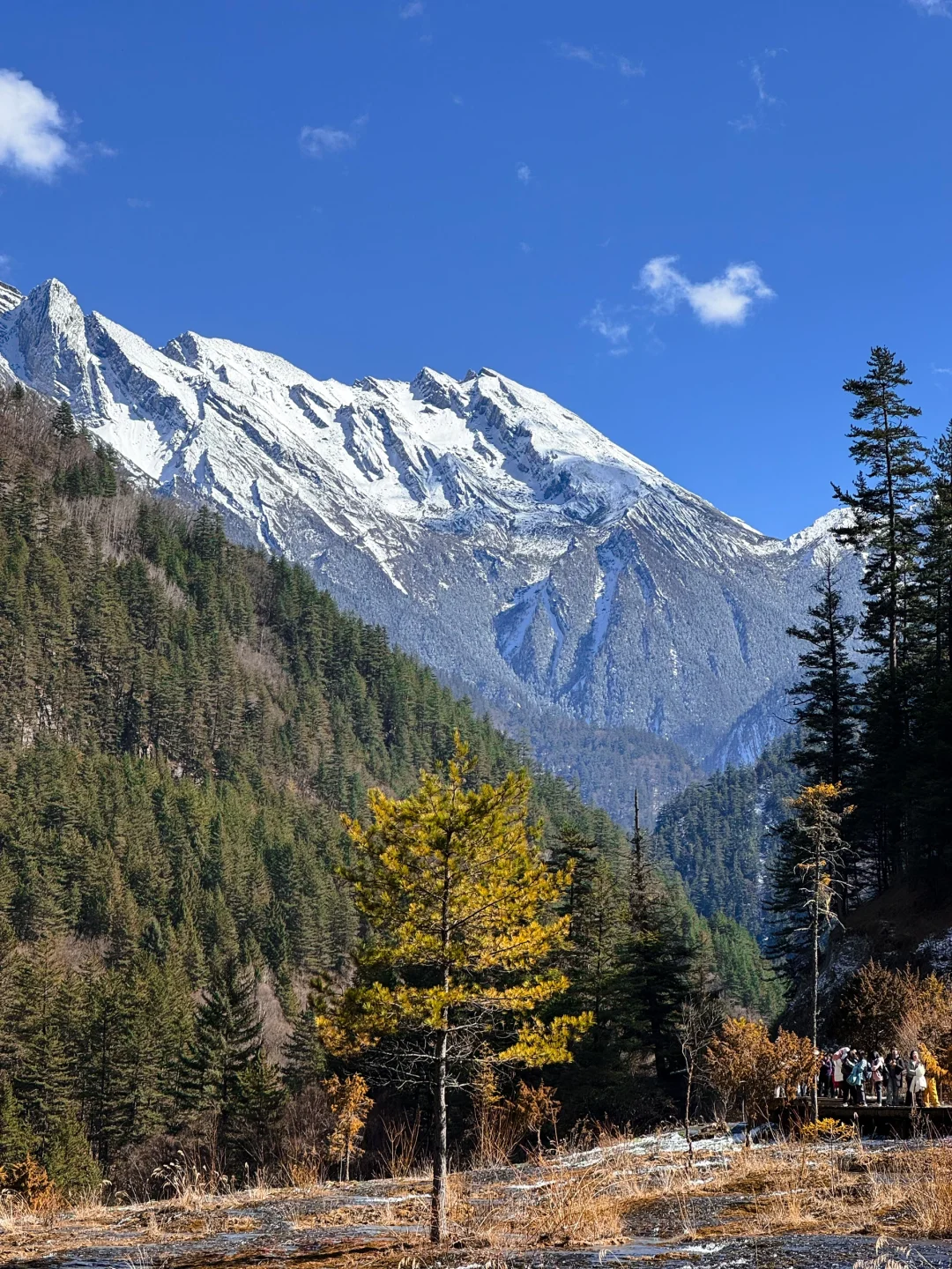 特种兵九寨沟1日游流水账