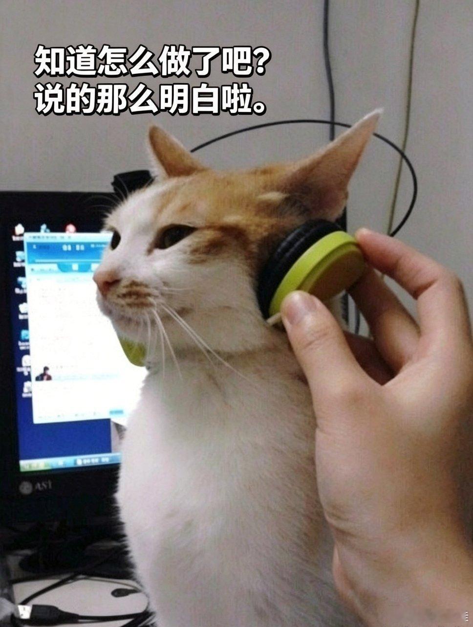 哎，就有人还在那里说汪峰挺好啥啥啥，哇，真的是郁闷死我了。这种人为什么我说他该封杀呢？我跟你分析吧。他之前多少段感情我是不知道的，我是章子怡跟他在一起之后才注意到他的。就以前听说他好几段，还有好几个小孩。然后章子怡就跟他在一起了。她哥哥章子男不是不同意吗？男人看男人眼光准，对吧， ​
