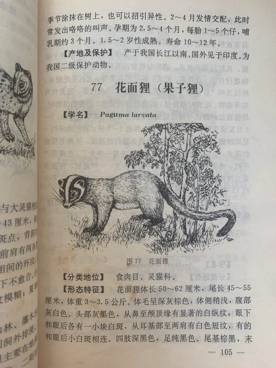 小时候的动物书插图都特用心