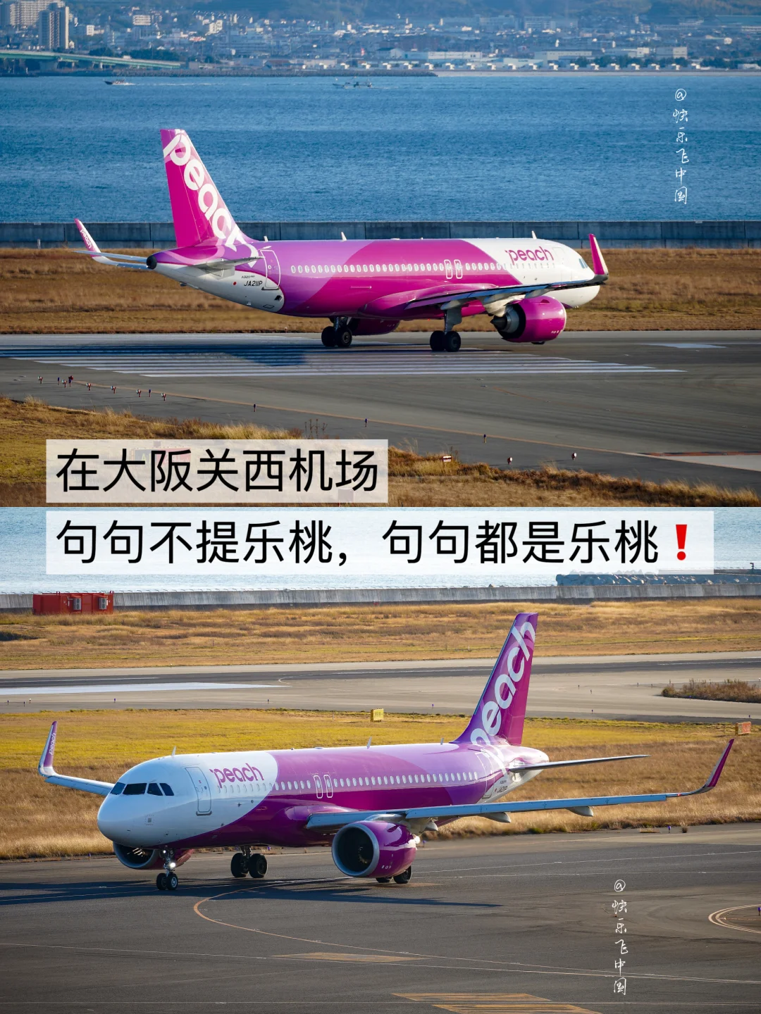 在大阪关西机场，句句不提乐桃，句句都是乐桃