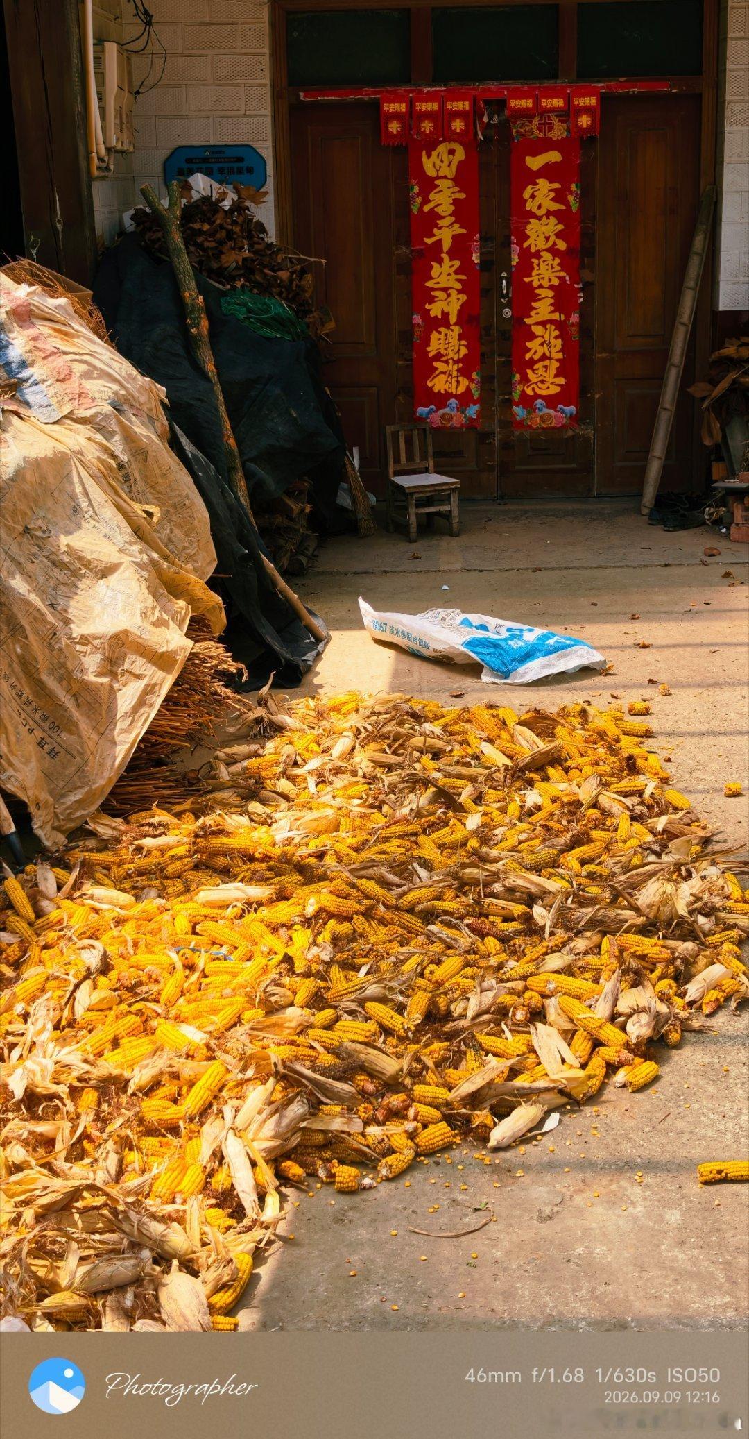 玉米🌽收获的季节
绍兴的葫芦我们这里也有
并且实现的它的价值
变成水瓢了[笑哈哈]

#九月##随手拍##vivo[超话]##有了低保就一定要活成穷人样子么#
穷人怎么了   穷人也有自己的思想 喜好  尊严等等   也有翻盘的机会改变的机遇 ​