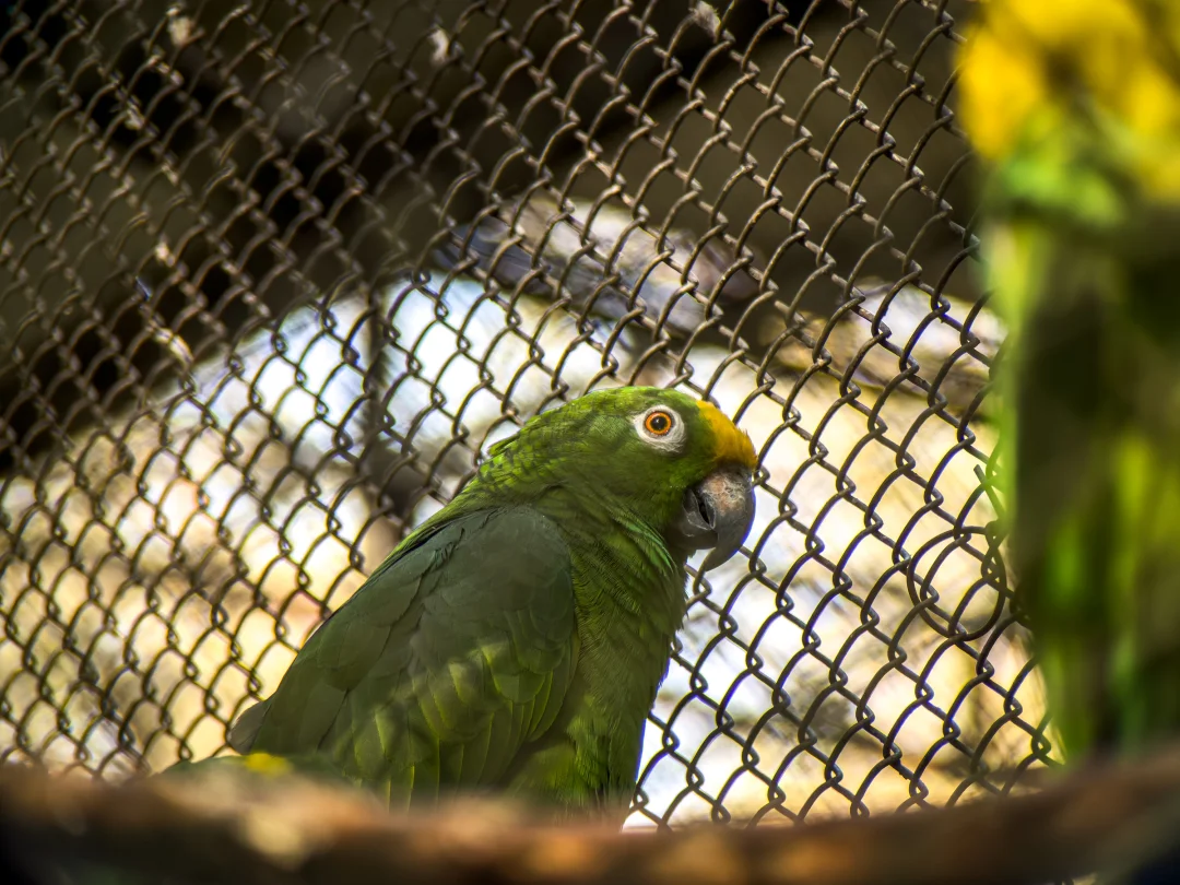 400MM Pro长焦镜头样片来啦
