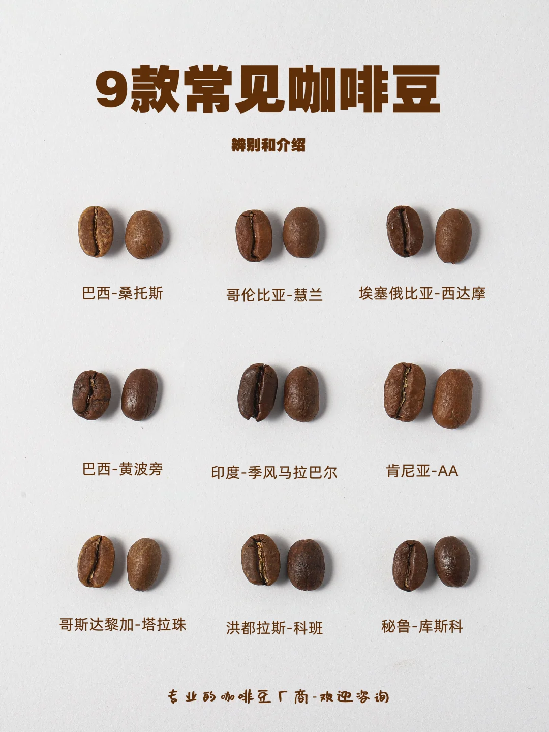 一天认识9款咖啡豆❗教你一秒会分辨❗