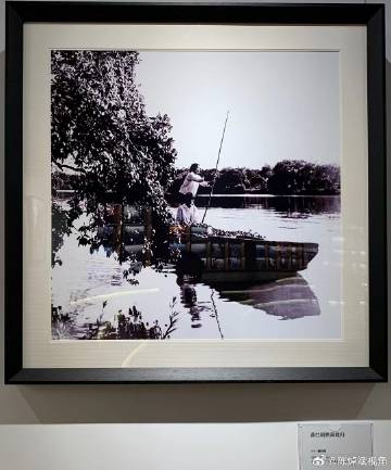 杨对荣旧照片：1978年“河南” （今海珠区）新滘大塘上冲村两岸荔枝红...