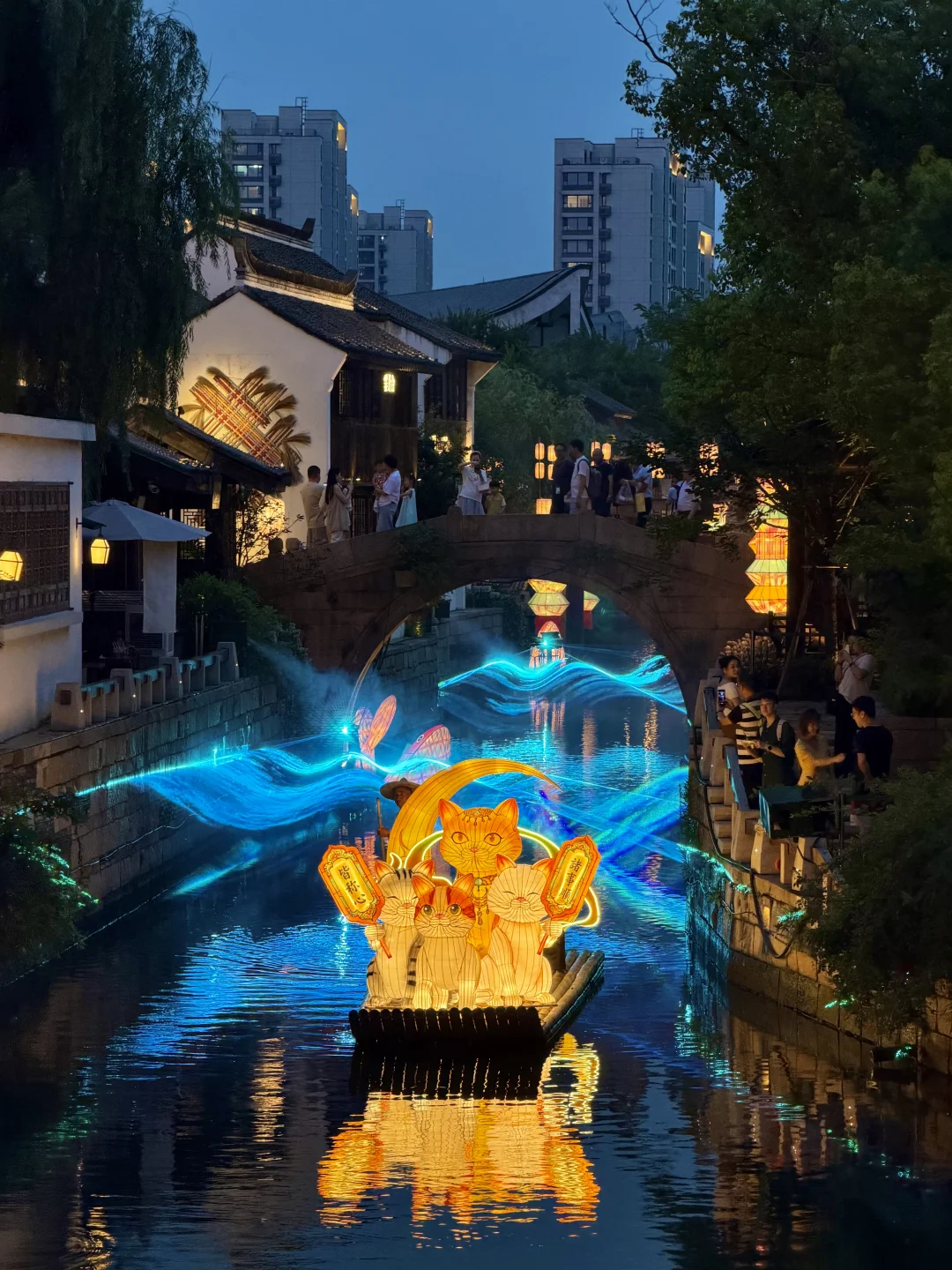上海真的有！猫猫神夜游！ 🚣🐈