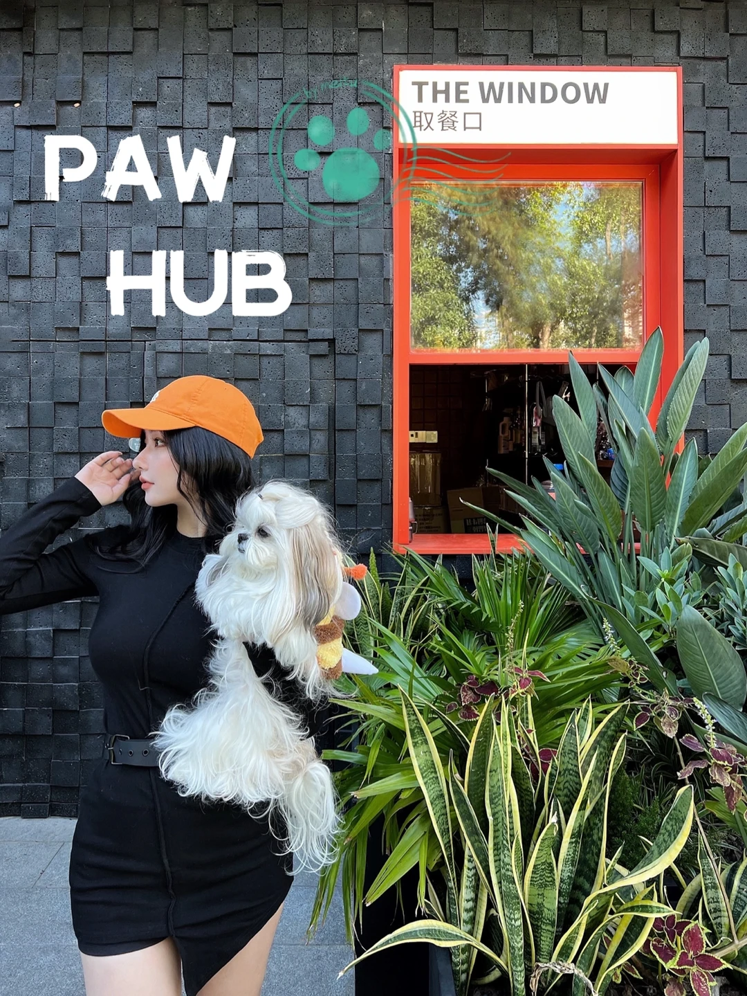 深圳探店｜周末带狗子来宠物交友大会—PawHub