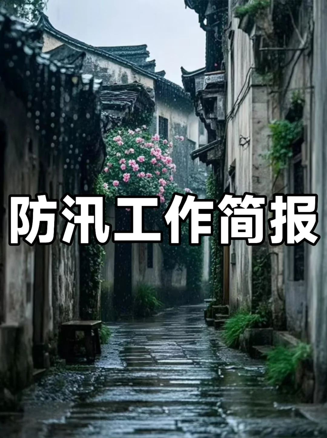 体制内：防汛工作简报