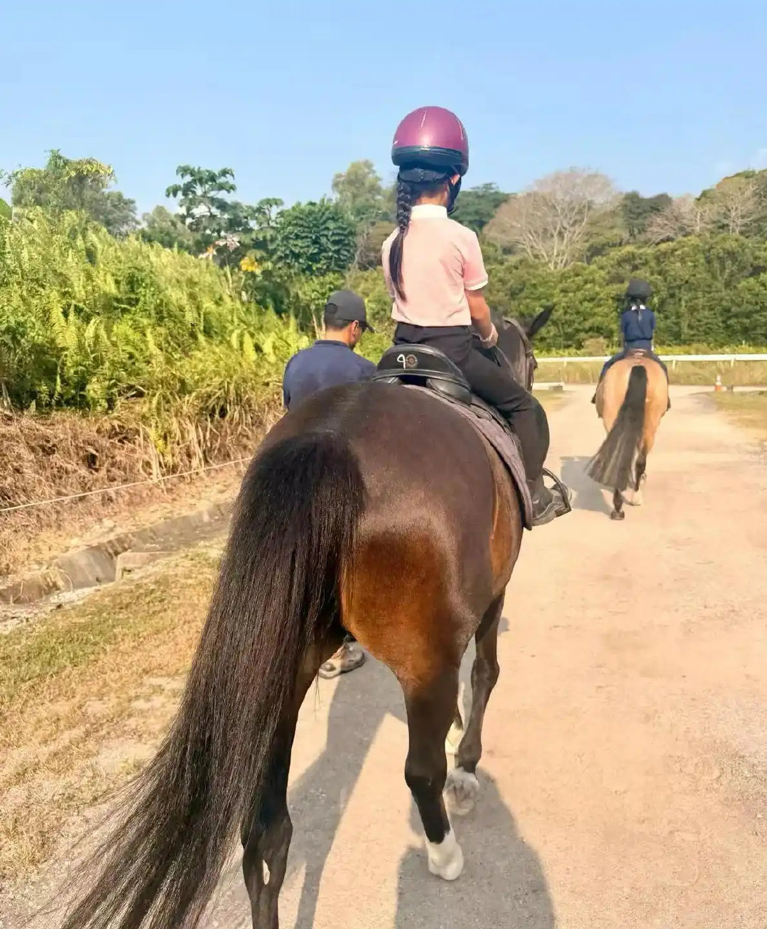 方媛晒新加坡全家游，三胎后首张正脸全家福曝光，一家五口颜值好养眼，58...