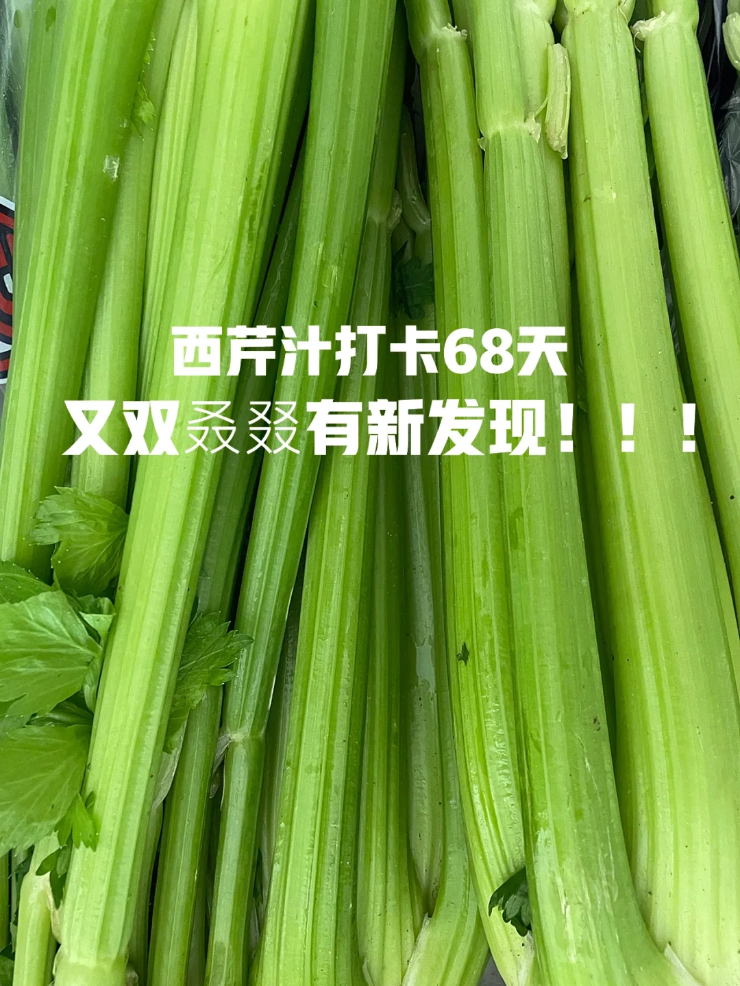 太爱自己现在的状态了！