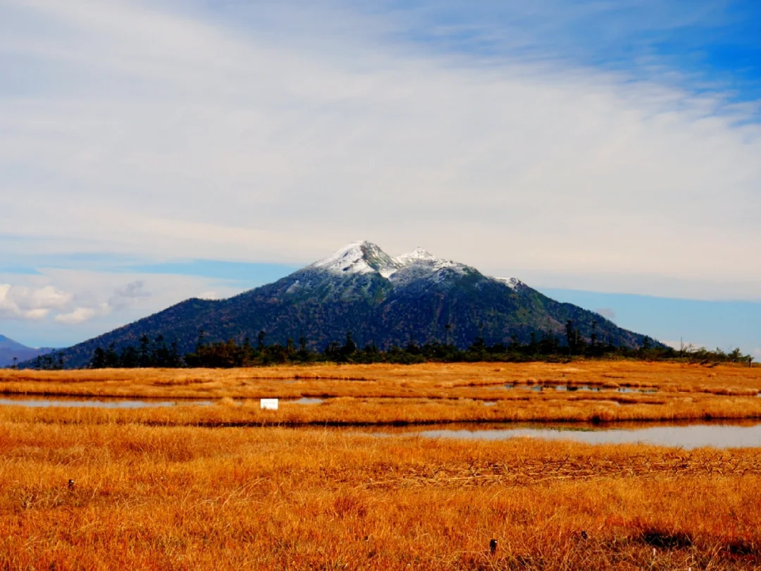 日本关东丨不去绝对会后悔的绝景公园🏞️🌅