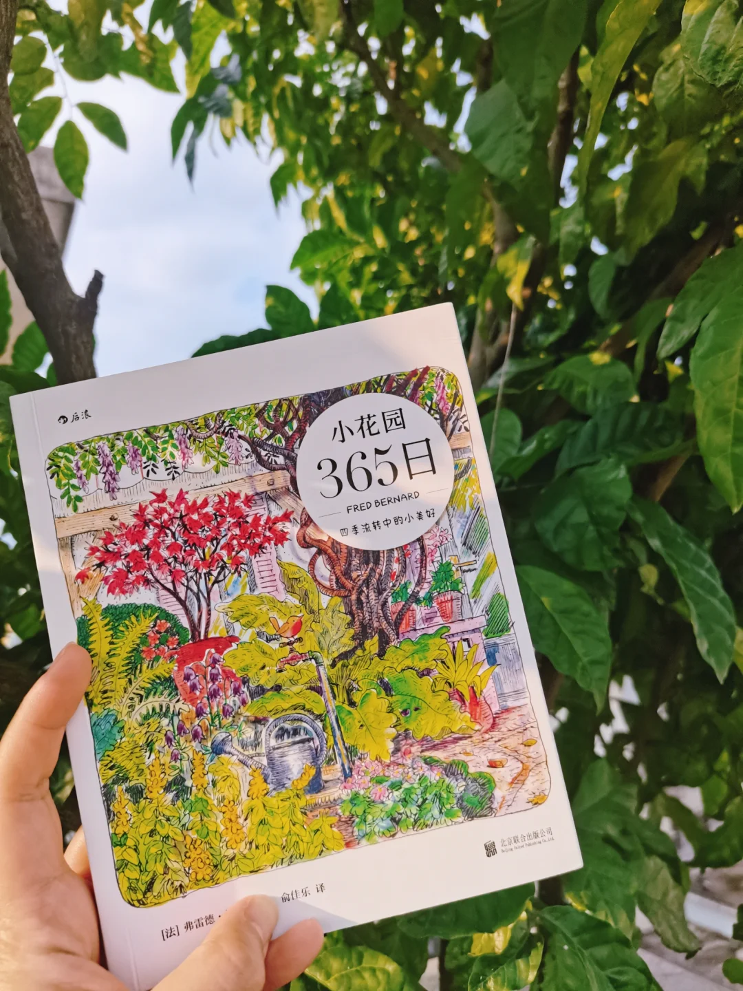 太美了！这是每个女生的“梦中情园”吧！