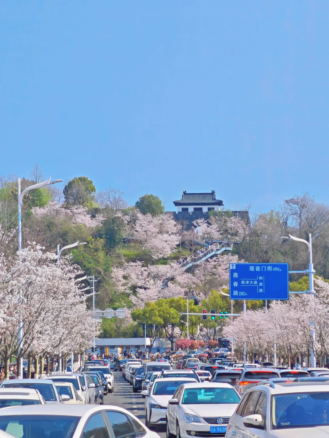 3.28实况！南京周末是懂报恩的！人也超级多