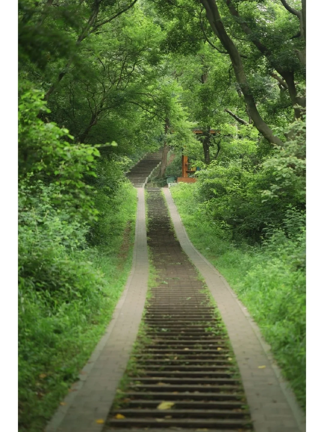 武汉走过最治愈的9条徒步路线！天晴就出发