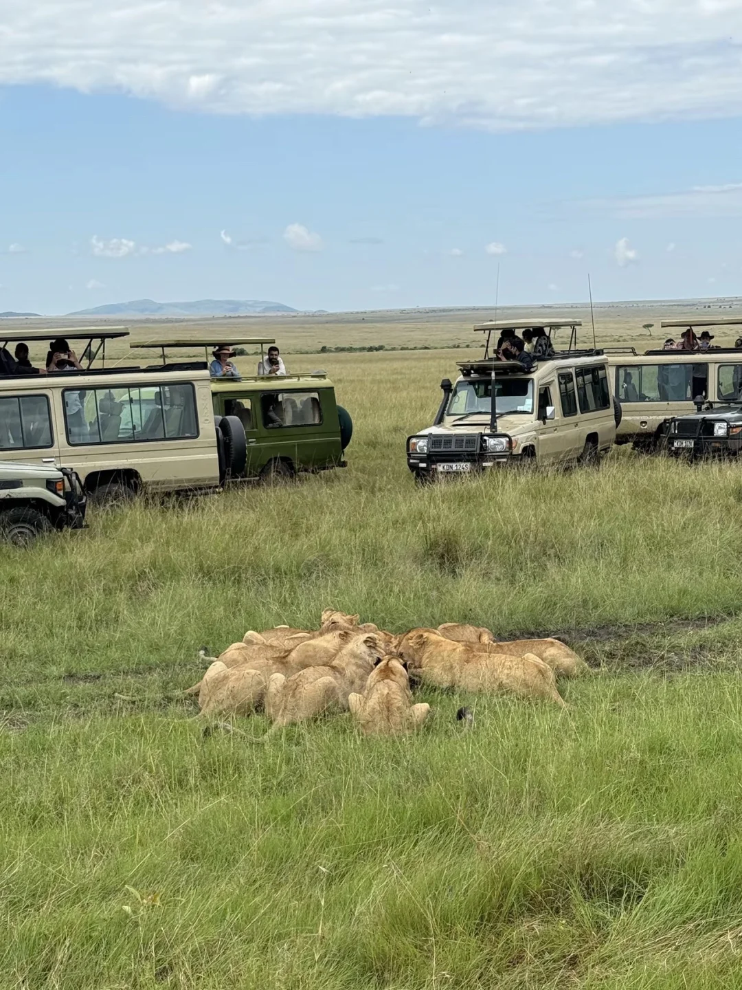 一口气说完普通人去肯尼亚safari该怎么玩？