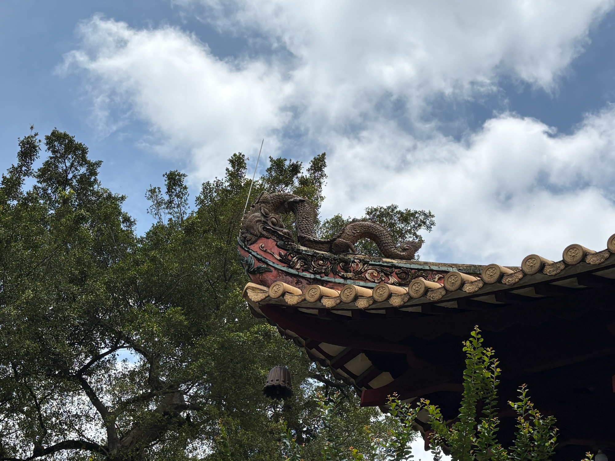 这两天连续跑中山一附院，过敏性鼻炎太难受了，做鼻腔镜的时候提前给小姐姐...
