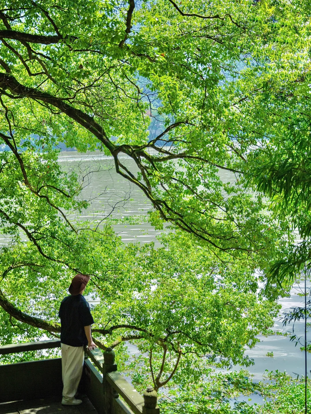 被《国家地理》评为最佳旅行地的小城有多绝❗️