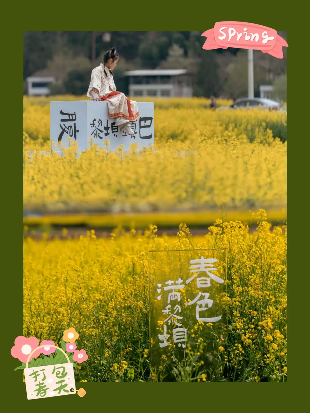 油菜花绚烂开放，不来镇巴你会后悔哦！