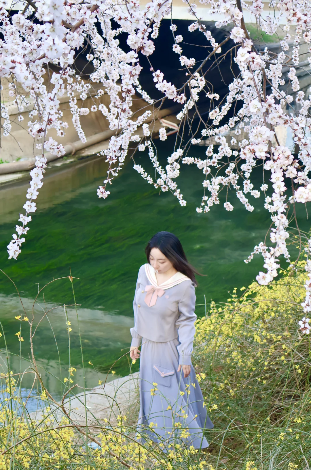 3.14实拍！别挤十里堡！这花多没人🌸（附路线