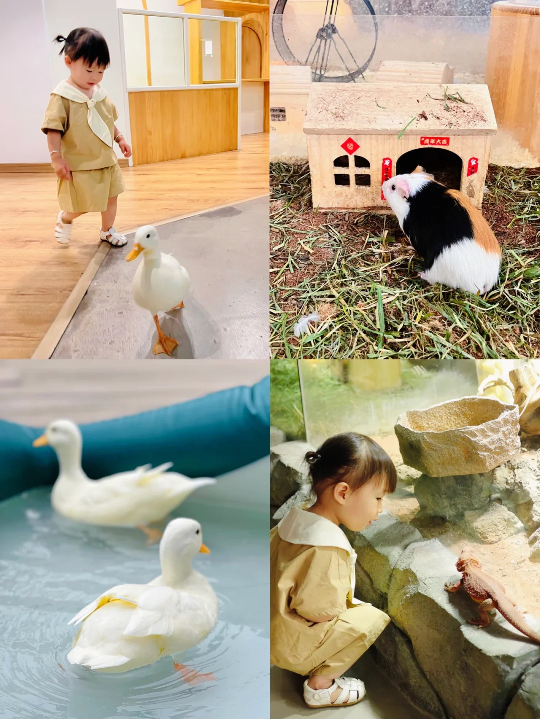 太卷了吧！这不是动物园而是武汉的幼儿园