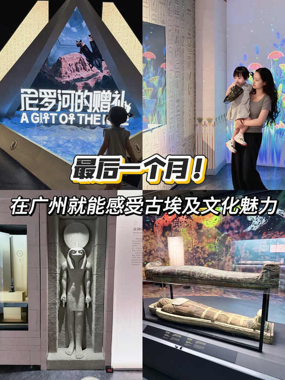 打卡古埃及展✨沉浸式感受5000年古老文明