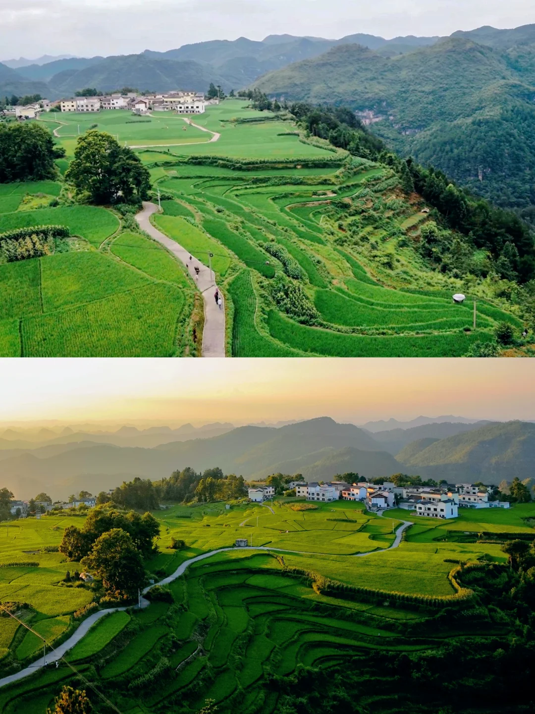 利剑玫瑰大结局！跟着热巴打卡高坡稻田晚霞