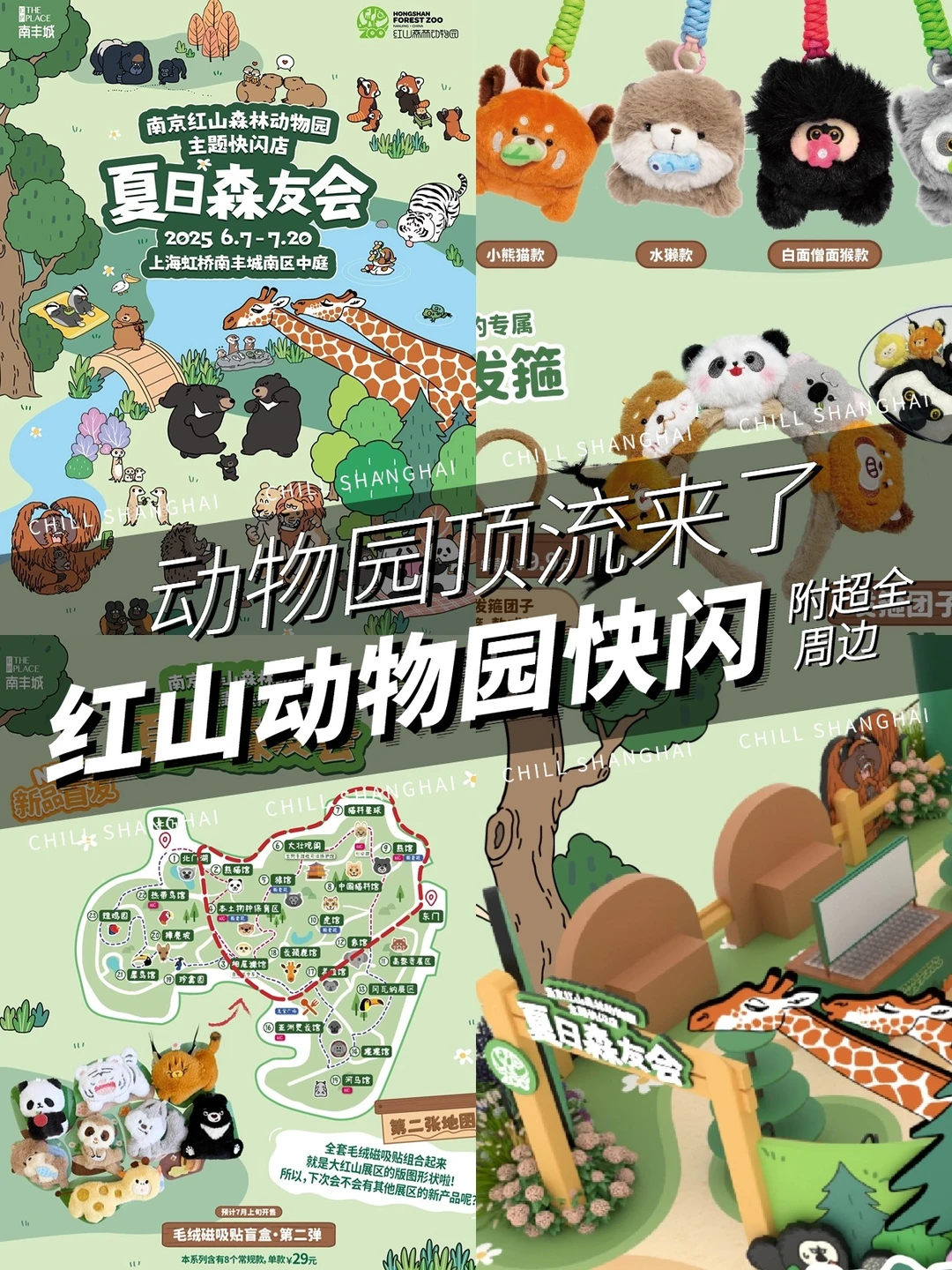 南丰城惊现夏日森友会！红山动物园萌物来了