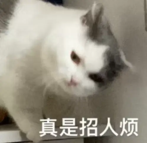 小区娱乐噪音扰民冲突咋办这种现象是挺招人烦的，玩儿可以，但不要扰民