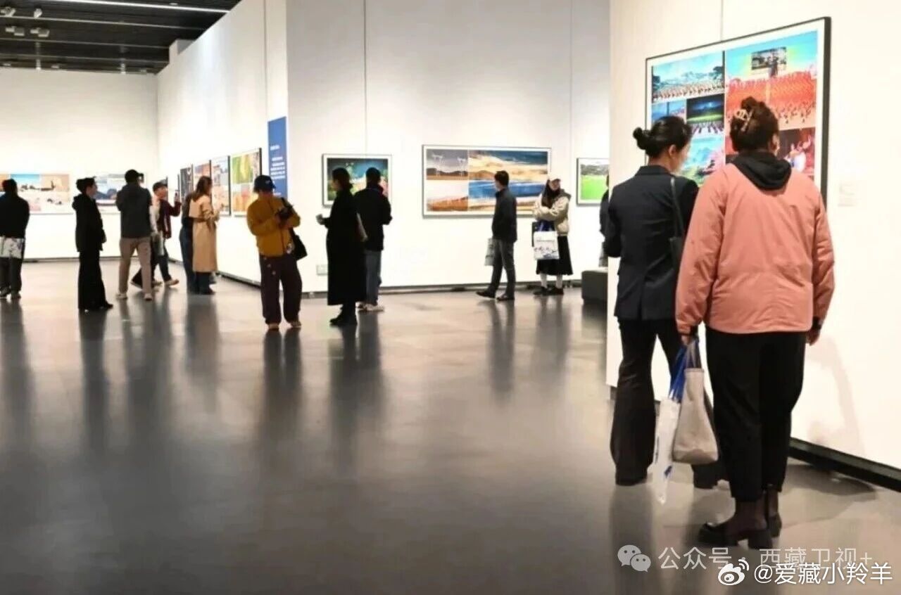 #机器狗第一次进哀牢山就拍到冥界之花#西藏新展！！！巨夯！！！ ​