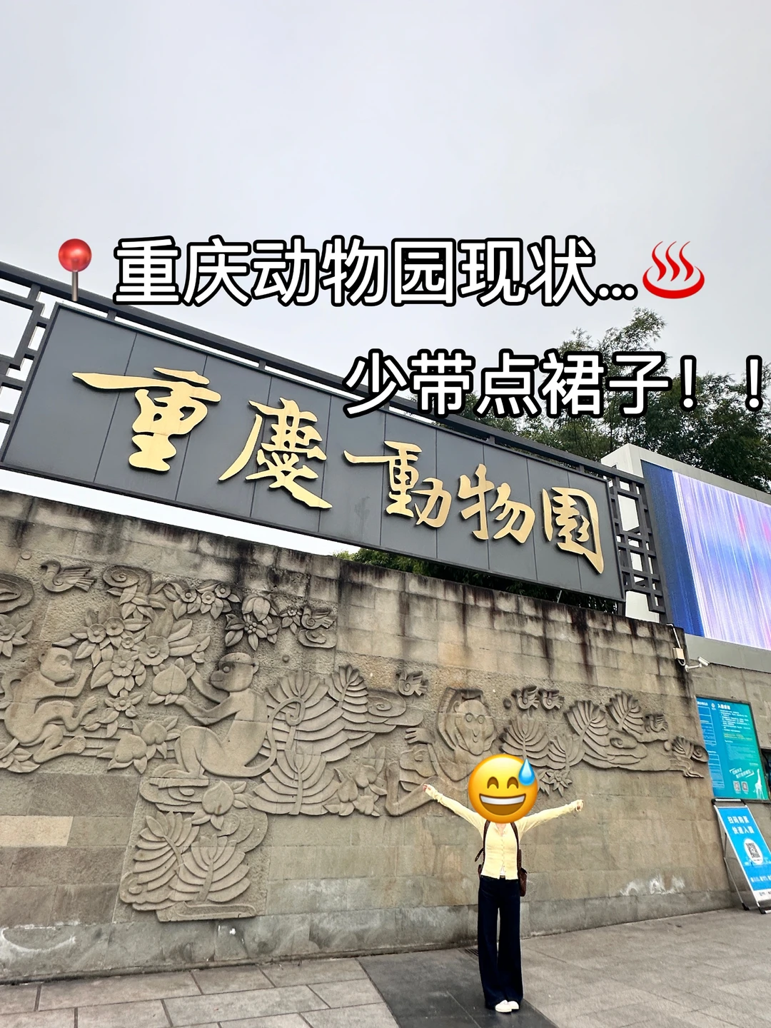 重庆动物园已回！！！没带对衣服真的崩溃了
