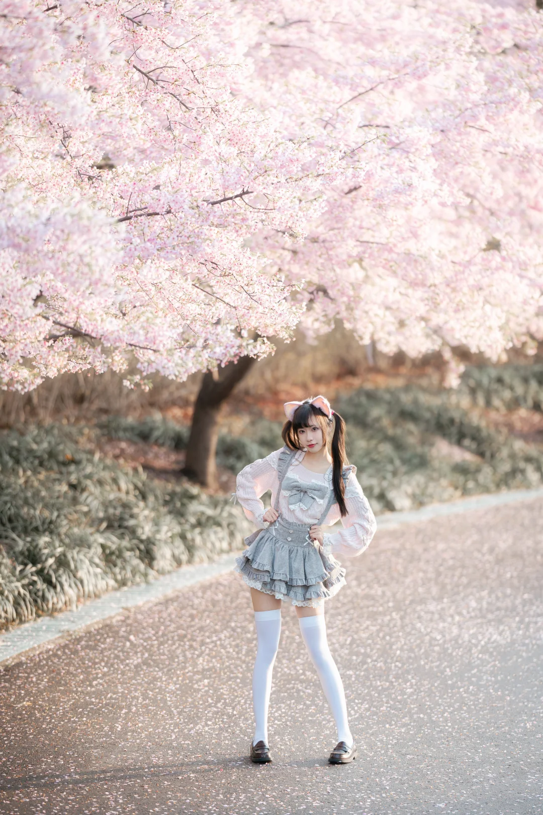 阿米嘎蒂朵～喵喵🌸