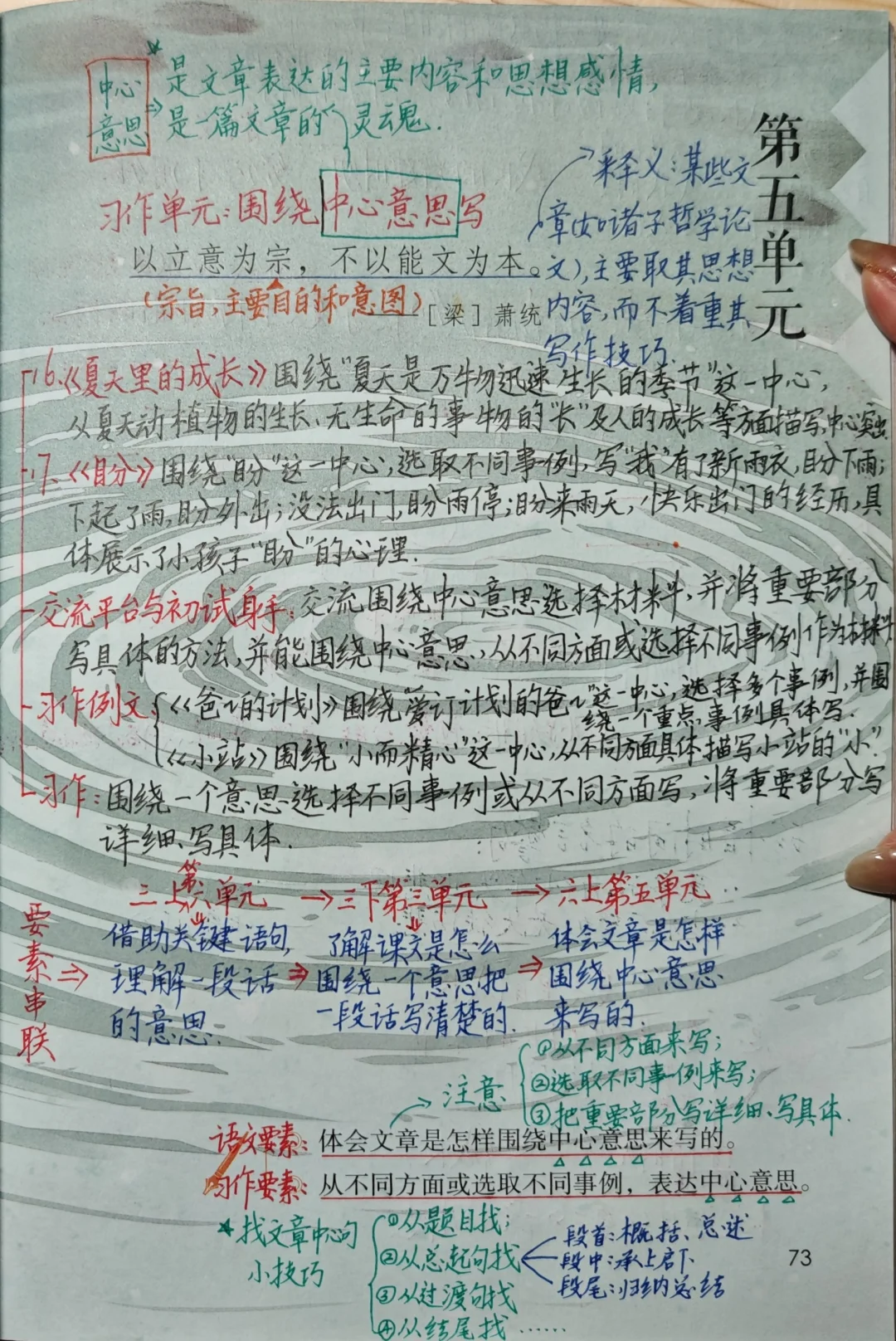 六上语文备课16《夏天里的成长》