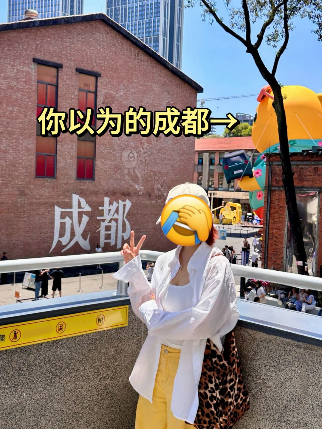 刚从成都回来…💔能救一个是一个