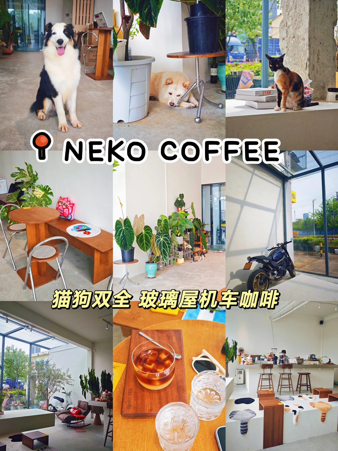 番禺新店｜玻璃房的机车咖啡！宠物友好小店