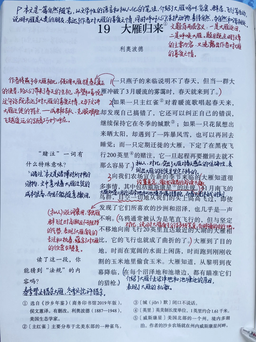 七上语文｜19.《大雁归来》课堂笔记预习笔记
