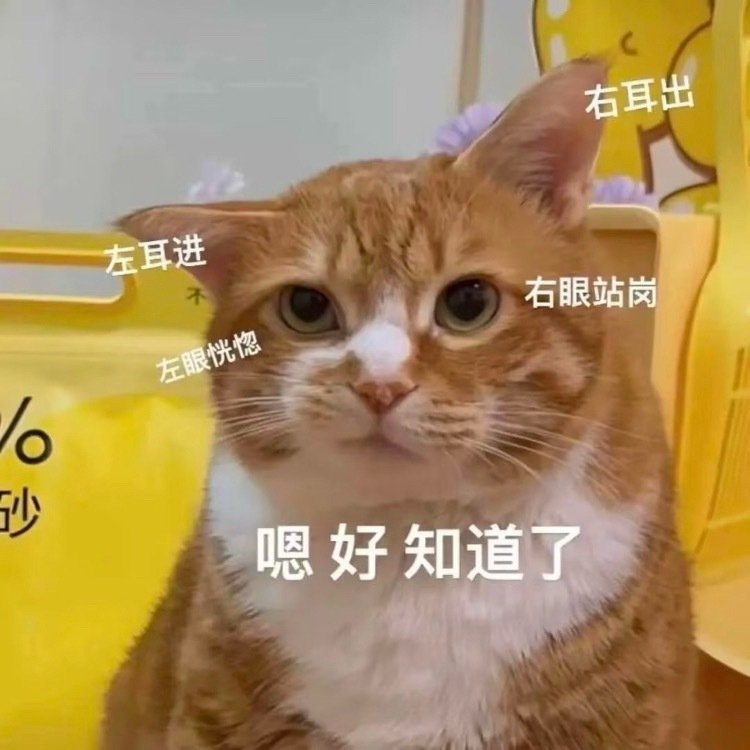 #咖啡和防晒正透支你的骨头#👍社会#骨质疏松正呈现年轻化趋势#
emmmm 今早刚喝个咖啡，哈哈哈

豆包建议我今早喝陈皮白茶，但不知道怎么回事，每次我喝，都有点儿上火呢[笑cry]，结果我就是又泡了陈皮白茶，又点了杯小黄油美式（热的），嘿嘿嘿~

而且我也总觉得今天是周三[允悲][允悲][允悲] ​