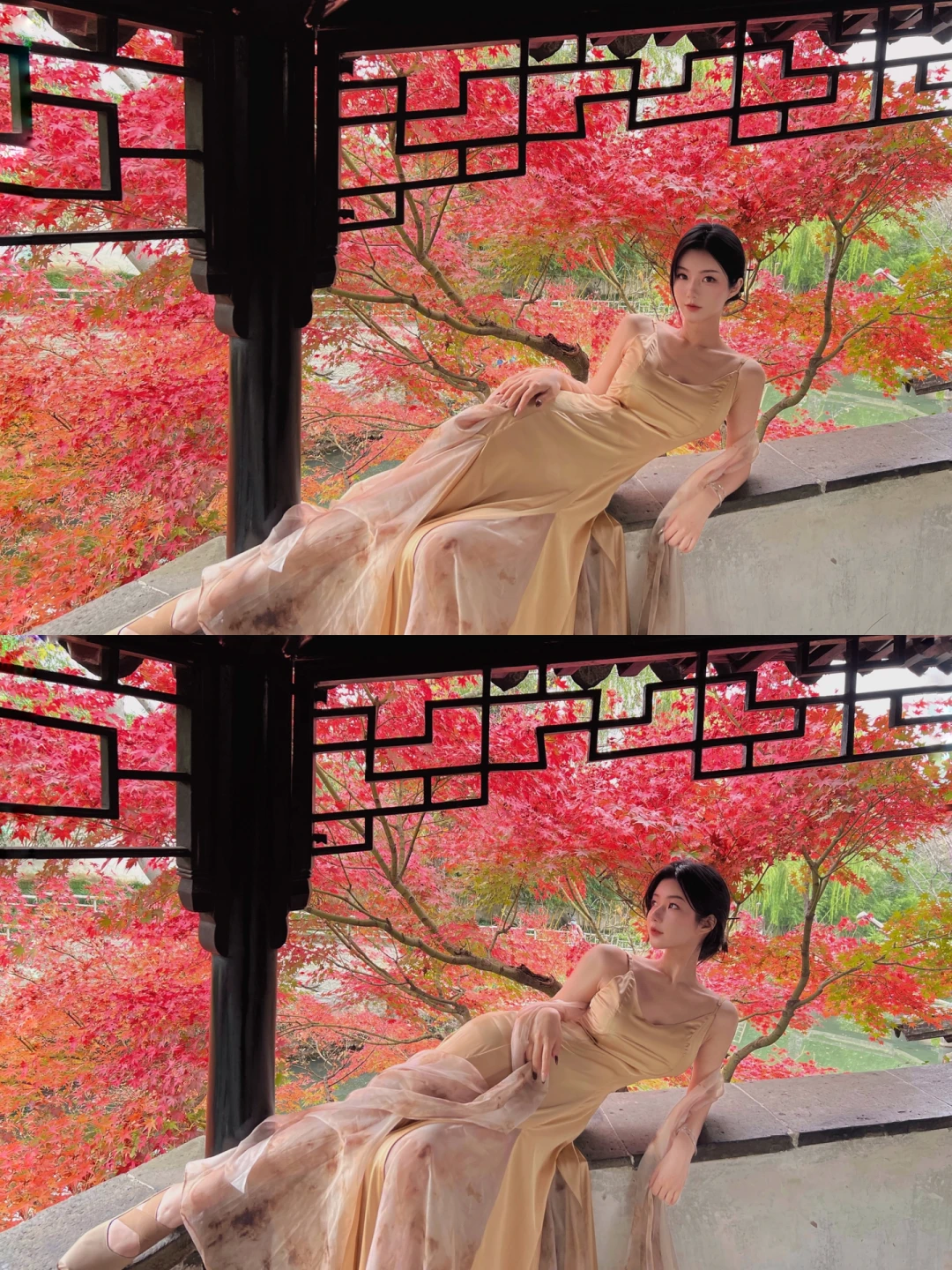 苏州｜枫叶已红透抓住秋天的尾巴—拙政园🍁