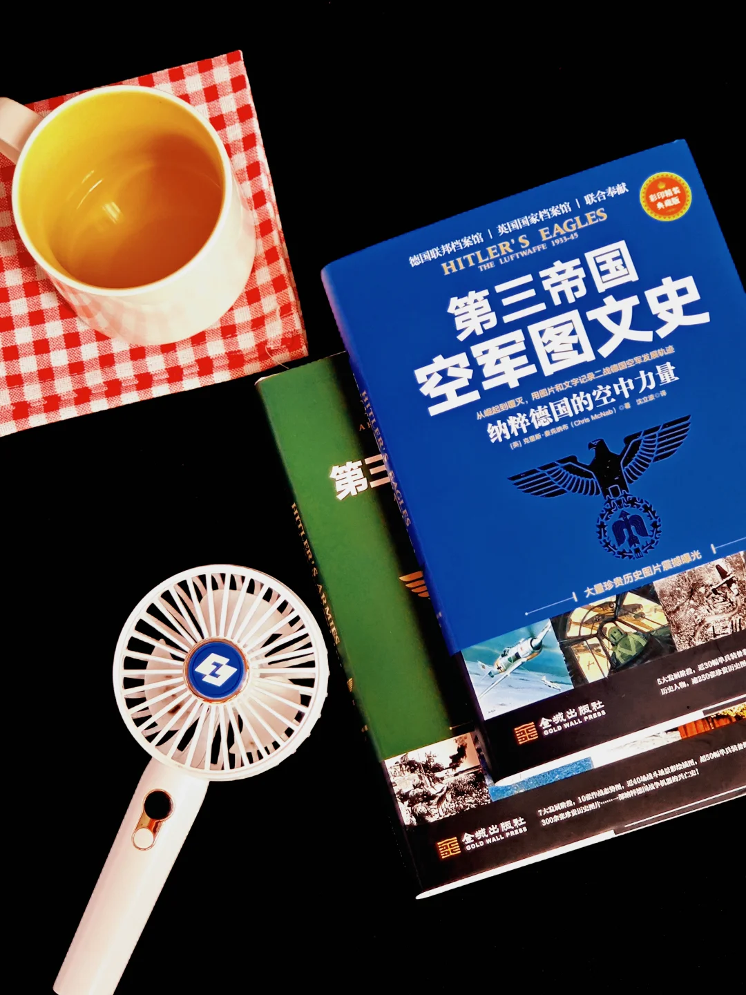 为什么德国空军骤兴骤衰？一本书扒明白！
