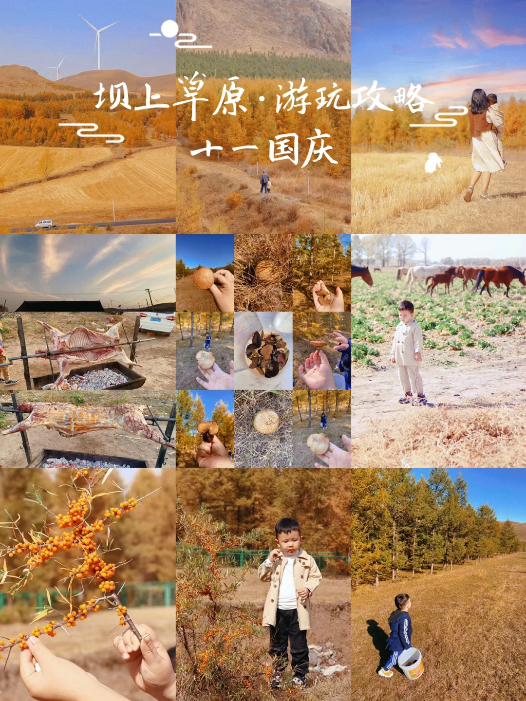 北京周边3h | 被低估了的旅游胜地，坝上草原