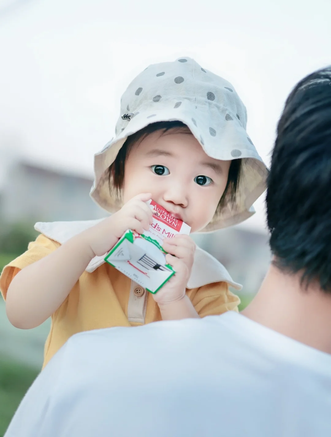 健康饮品|小盆友都爱的儿童成长牛奶