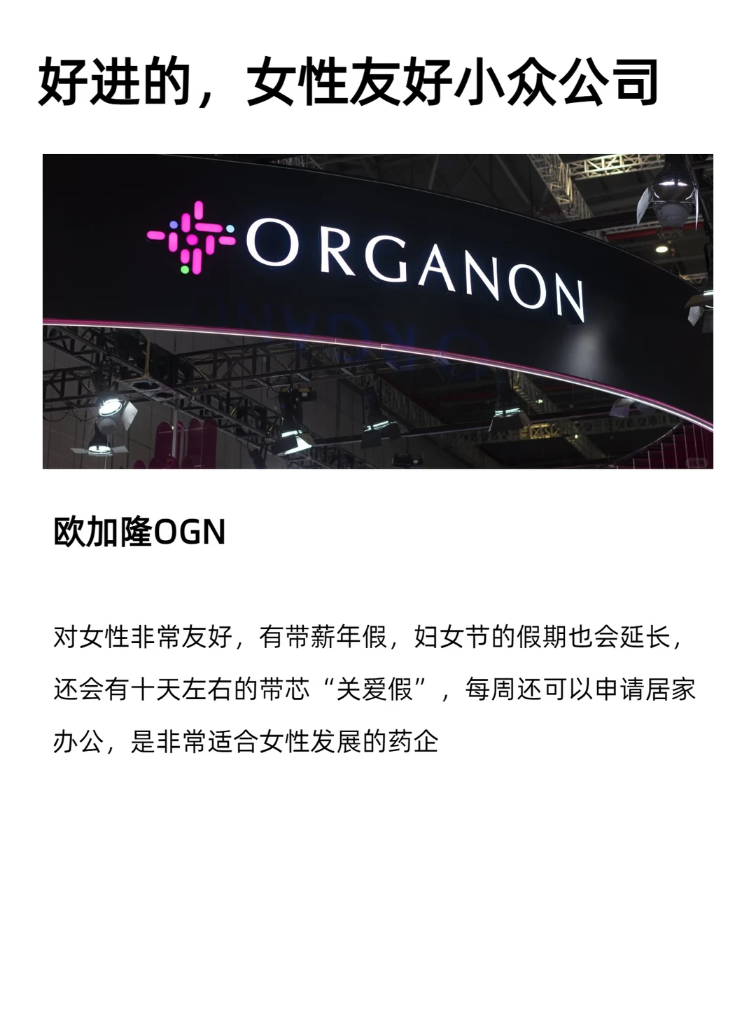 好进的，女性友好小众公司
