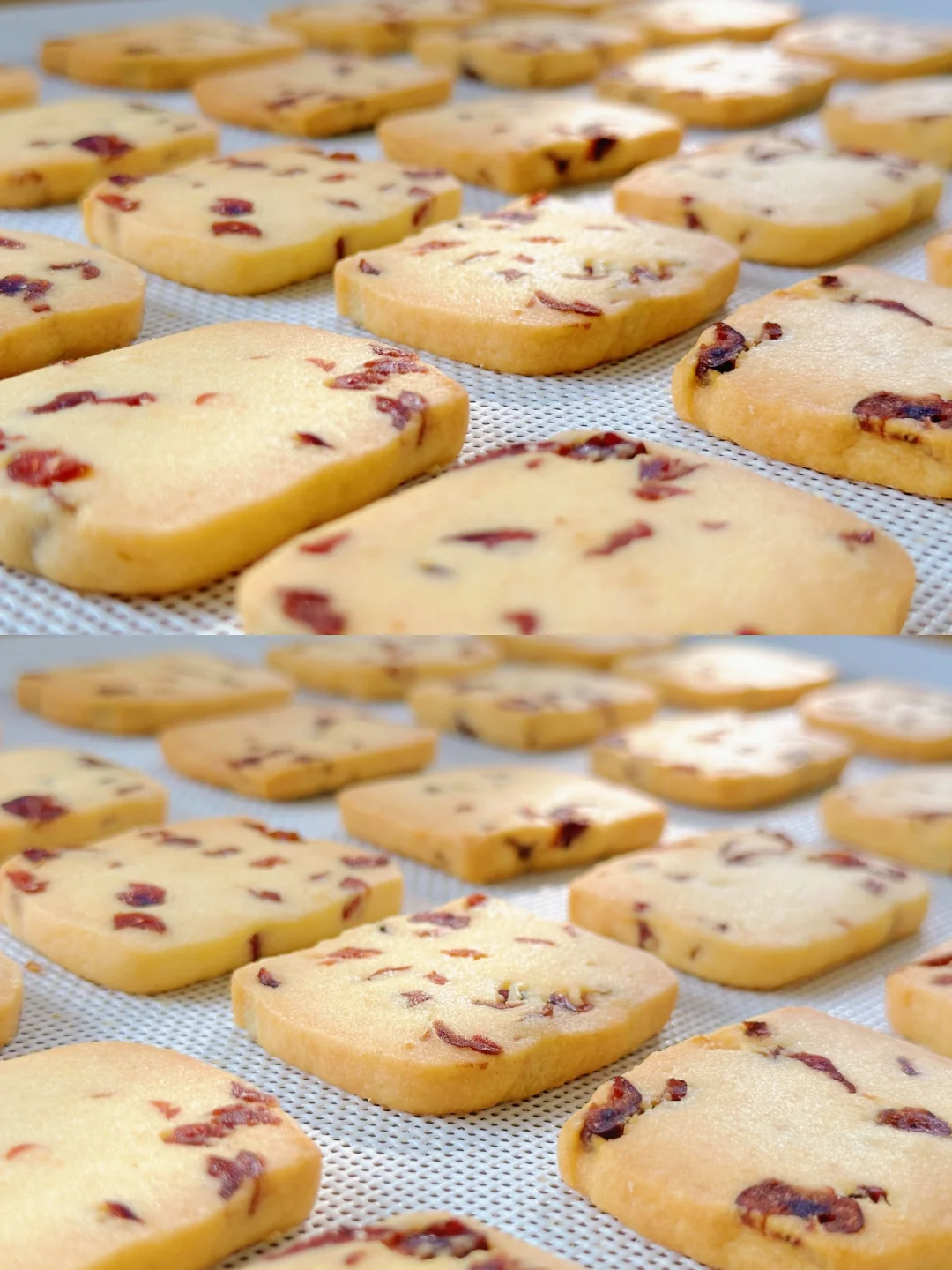 超简单‼️酥到掉渣的蔓越莓曲奇饼干‼️酸酸甜甜巨好吃～